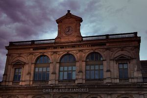 Toiletteur Lille